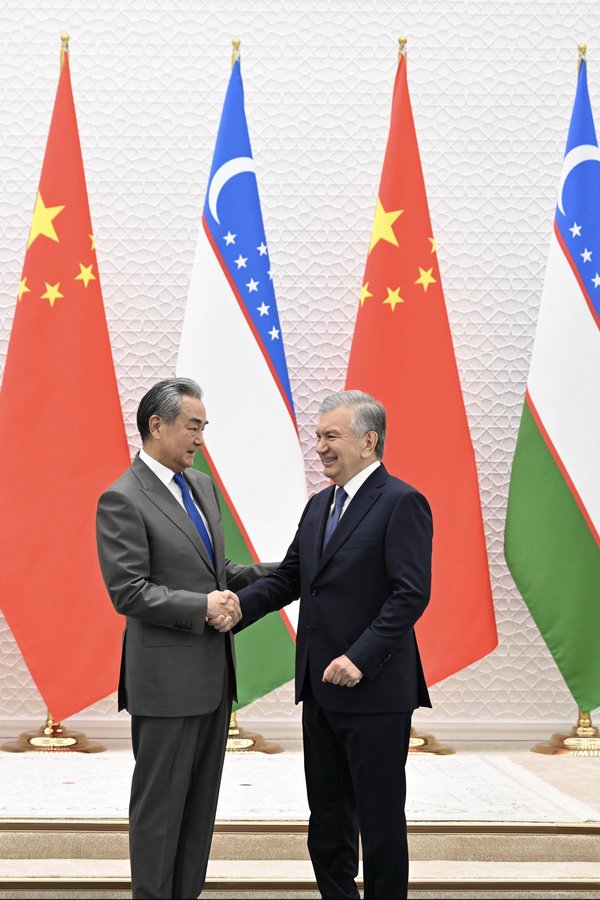 乌兹别克斯坦总统米尔济约耶夫会见王毅