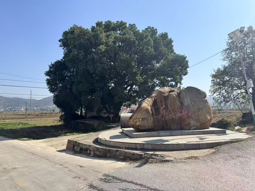 影子调查｜“博导”郭伟的双面人生：江西小镇高中毕业，村里不确定其是否上过大学