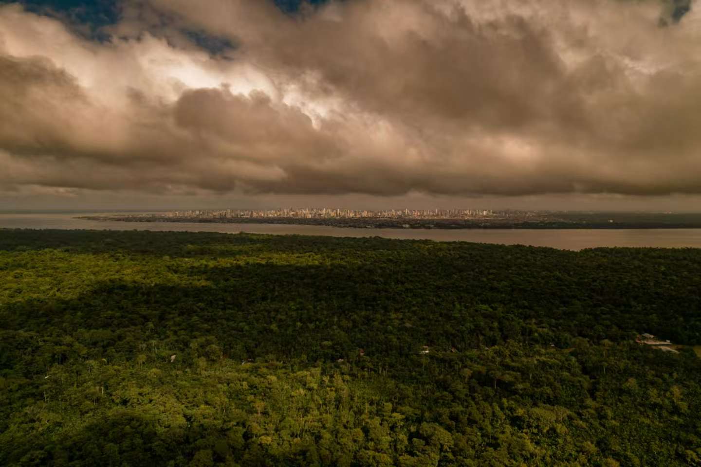 记者手记｜在北京看贝伦COP30：远程感受亚马孙的雨