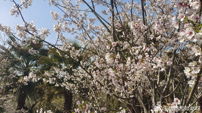 人老了，有远见的父母，留给孩子的不是钱，而是这三样东西