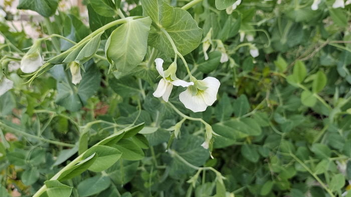 兄弟姐妹之间最寒心的，不是反目成仇，而是这4件事，很现实