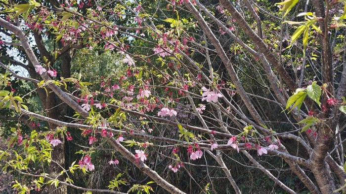 我61岁，搭伙2年后，终于悟透，晚年男人找老伴到底图啥