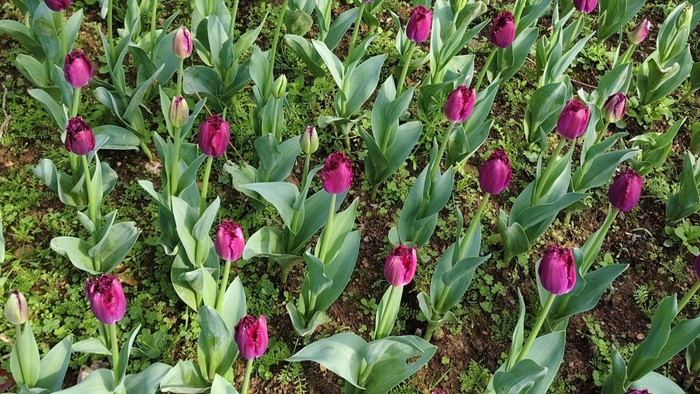 我再婚过两次才发现：晚年单身时，请保姆比找老伴更舒心