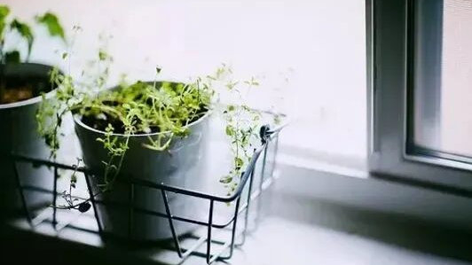 原创|为什么生病了,要尽量隐瞒,别让外人知道?看完就明白了