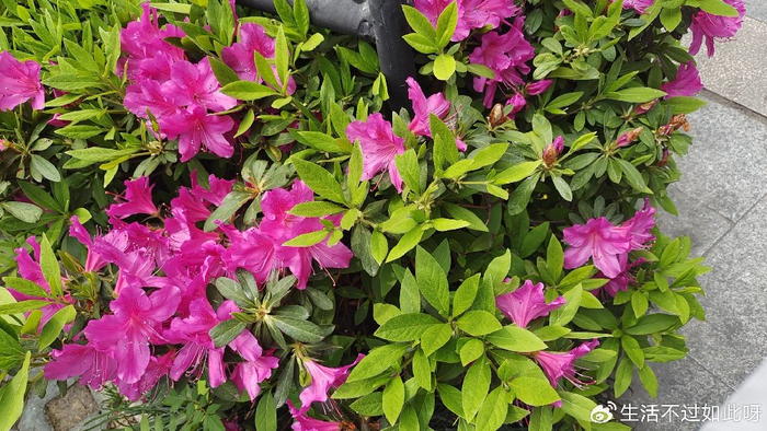 过了75岁的老人，大多逃不过这6个现实，子女们提前了解暖心应对