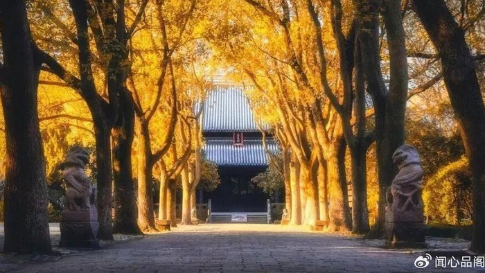 原创|茶会凉，人会变，心会寒，情会断….（深度好文）