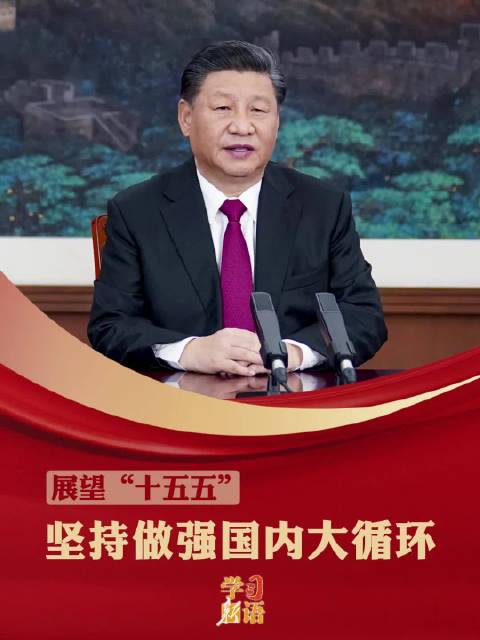 学习新语·展望“十五五”｜坚持做强国内大循环