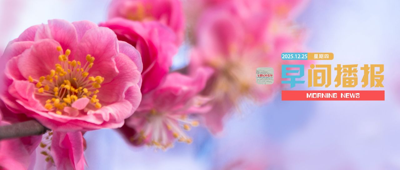 早间播报【2025年12月25日】