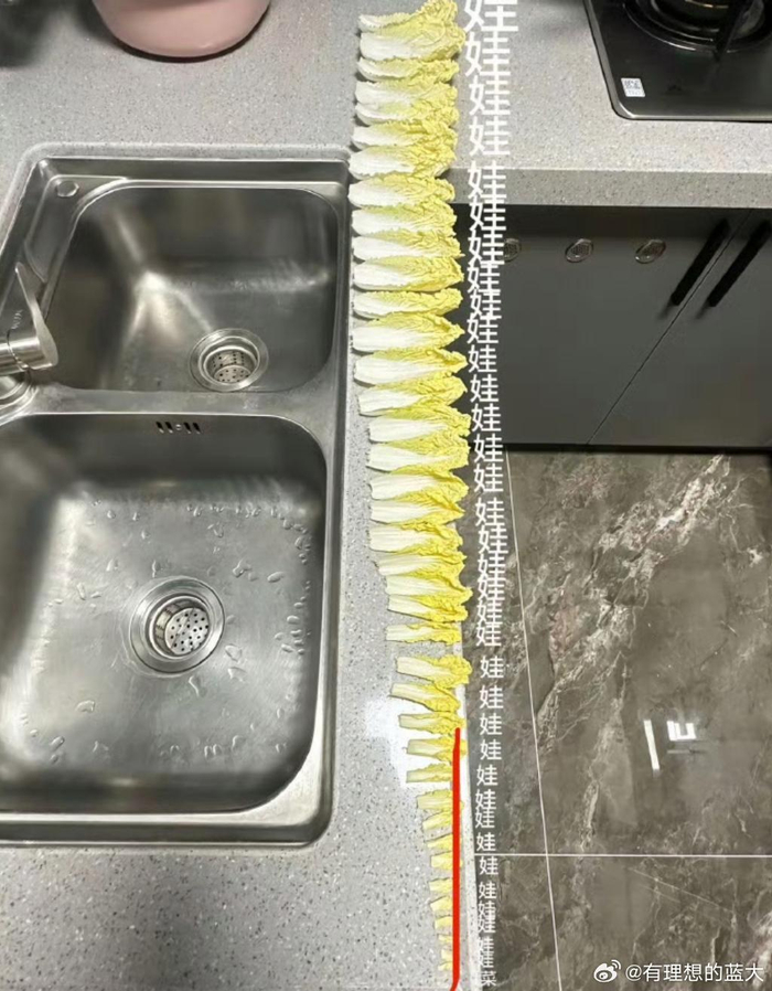 人在闲时真的很闲