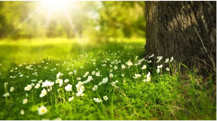 原创|2026年，只求顺其自然！