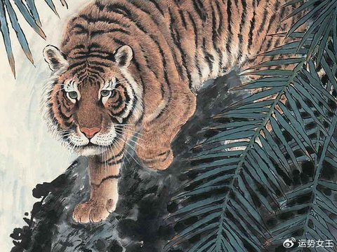 日子变得不缺钱，福气旺盛赛去年，马年有新喜的四个生肖