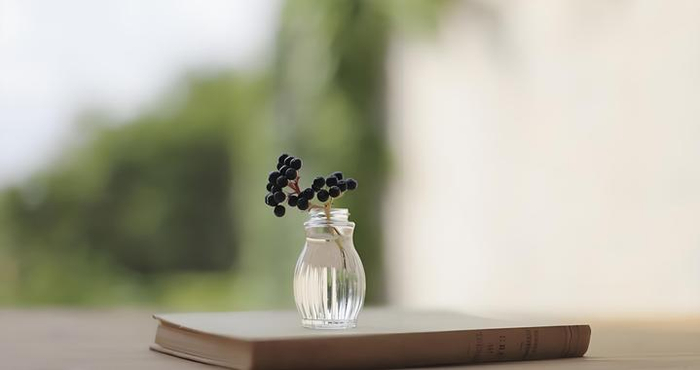 越懂事的孩子,长大后可能脾气越差,因为他们是家庭情绪的承受者