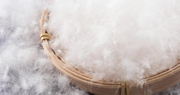 买了没几年的羽绒服，怎么就不保暖了？原来很多人都做错了