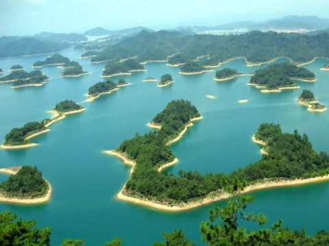 哪4个星座，头脑灵活，赚钱迅速，日子一年一年变得更好