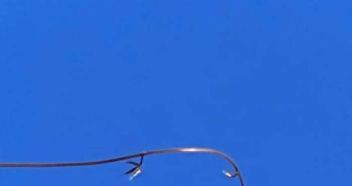 没人给我打伞,我就要在雨里哭到死吗?~91.8美图秀