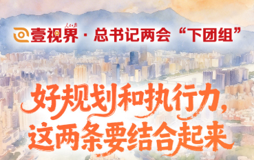 壹视界·总书记两会“下团组”丨好规划和执行力，这两条要结合起来
