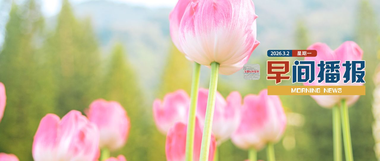 早间播报【2026年3月2日】