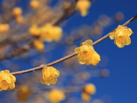 夏日里冲破困难，赚钱增加，烦恼和困难都消失的四个星座