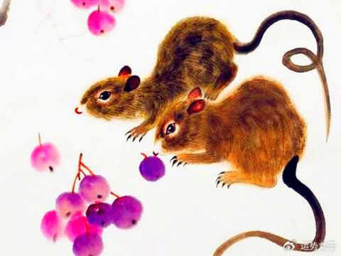 智商和情商名列前茅的四种生肖，个个是人精，今年有望翻身