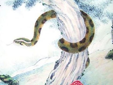 充满生活热情，赚钱源源不断，夏天来临之前日子渐渐富裕的生肖