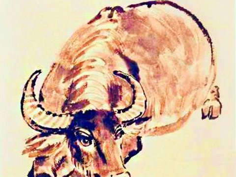 好运气不会耗尽，上半年日子渐渐富裕起来，手头不紧俏的生肖