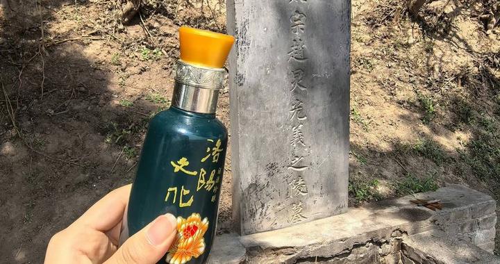 从“洛阳上坟指南”到“太平年下一杯热酒” 年轻人为何热衷为古人扫墓？｜文化中国行