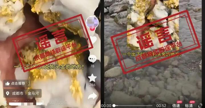 “都江堰金马河淘出800克狗头金”视频系谣言!发布者已删帖
