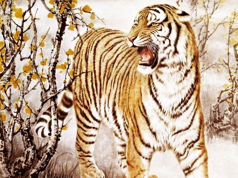 聪明过人,自信能成大事,4月到5月总不缺钱花的四个生肖